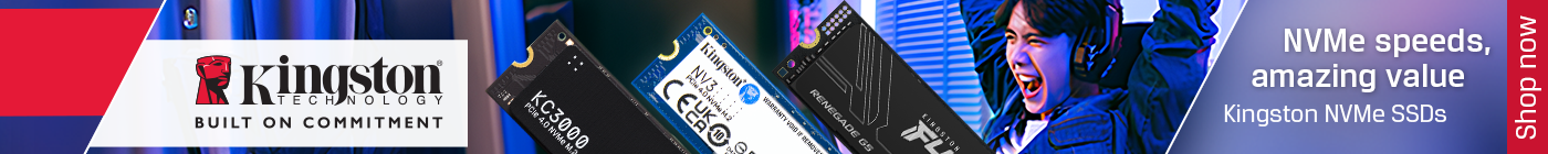 Kingston NVMe
